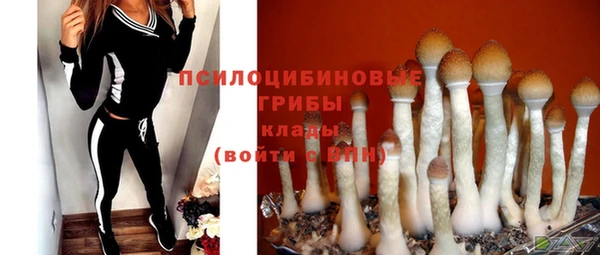 шишки Баксан