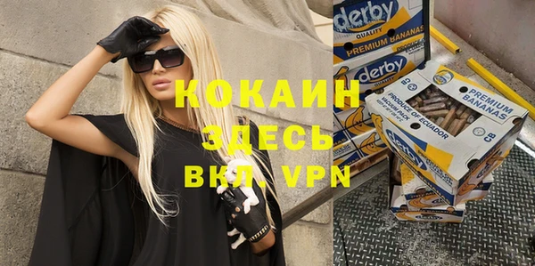 шишки Баксан