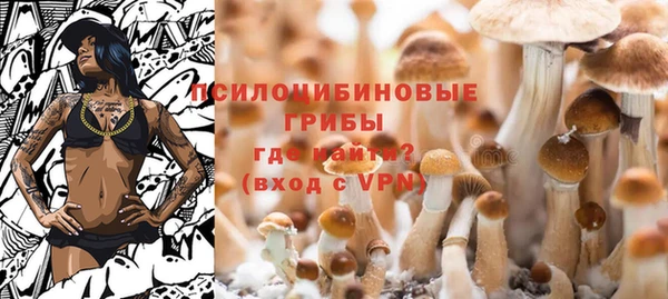 шишки Баксан