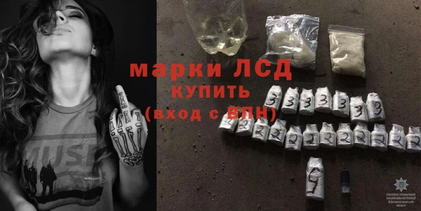 шишки Баксан