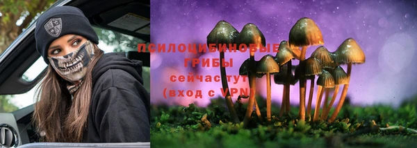 шишки Баксан